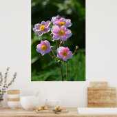 japanische Anemone rosa blühend im Garten,Nahaufn. Poster (Keuken)