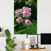 japanische Anemone rosa blühend im Garten,Nahaufn. Poster (Thuiskantoor)