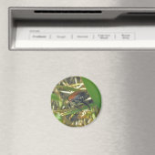 Japanner Beetle Magnet (Insitu (Vaatwasser))