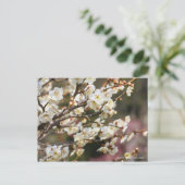 Japans abrikozenotje "Tsuki-kage" (Briefkaart) Briefkaart (Staand voorkant)