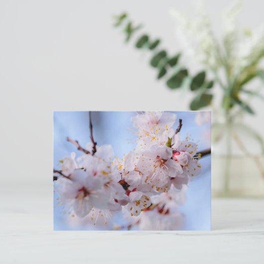 Japans Abriot Blossom Briefkaart (Staand voorkant)