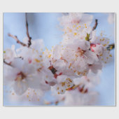Japans Abriot Blossom Cadeaupapier (Vlak)