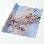 Japans Abriot Blossom Cadeaupapier (Uitgerold)