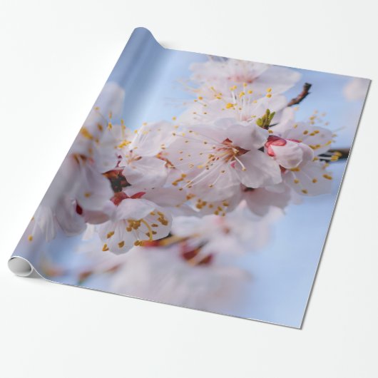 Japans Abriot Blossom Cadeaupapier (Uitgerold)