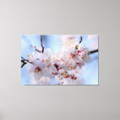Japans Abriot Blossom Canvas Afdruk (Voorkant)