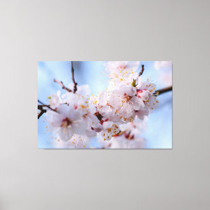 Japans Abriot Blossom Canvas Afdruk