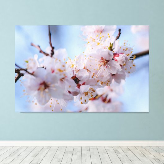 Japans Abriot Blossom Canvas Afdruk (Insitu (Houten vloer))