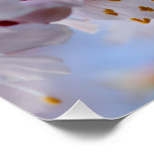 Japans Abriot Blossom Poster (Hoek)