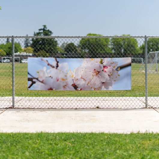 Japans Abriot Blossom Spandoek (Insitu)