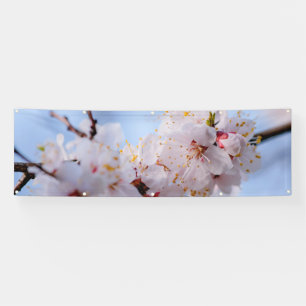 Japans Abriot Blossom Spandoek