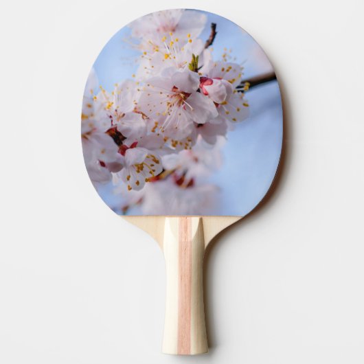Japans Abriot Blossom Tafeltennisbatje (Achterkant)