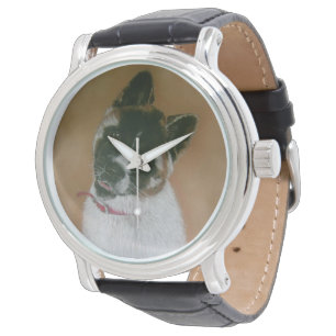 Japans/Amerikaans knappe puppy akita-horloge Horloge