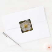 Japans Anemone Sticker (Envelop)