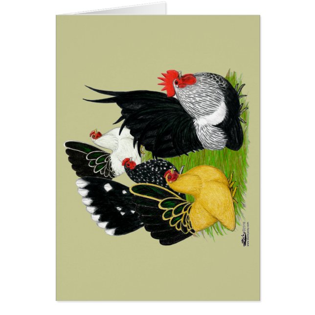 Japans bantam kwartet (Voorkant)