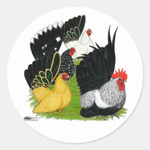 Japans bantam kwartet ronde sticker