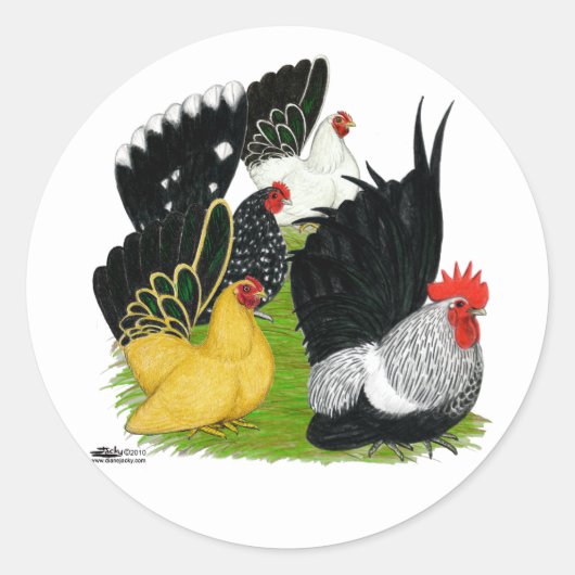 Japans bantam kwartet ronde sticker (Voorkant)