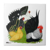 Japans bantam kwartet tegeltje (Voorkant)