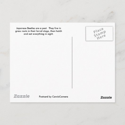 Japans Briefkaart van Beetle (Achterkant)