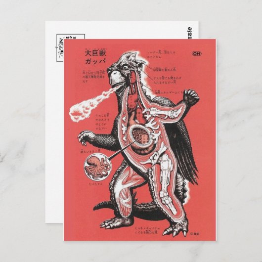  Japans Briefkaart van de Cutaway Monster (Voorkant / Achterkant)