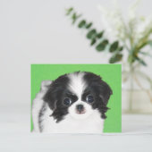 Japans Chin Puppy Painting - Oorspronkelijke honde Briefkaart (Staand voorkant)