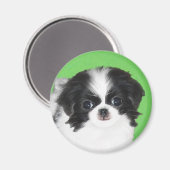 Japans Chin Puppy Painting - Oorspronkelijke honde Magneet (Voorkant / Achterkant)