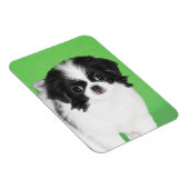 Japans Chin Puppy Painting - Oorspronkelijke honde Magneet (Rechterzijde)