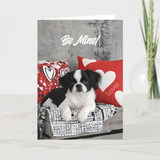 Japans Chin Puppy Valentijn Kaart