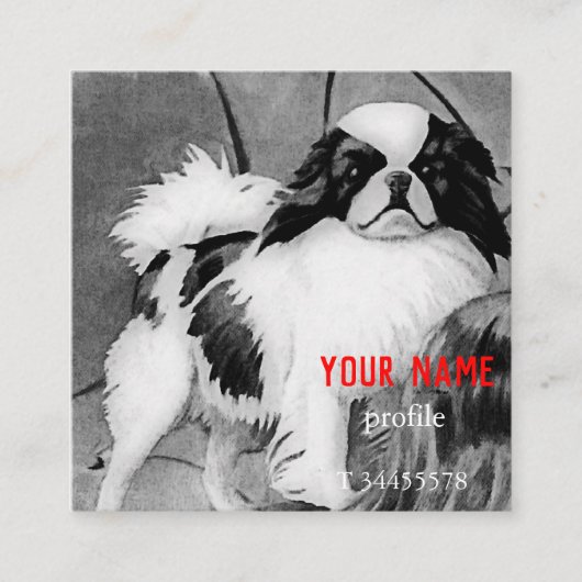  Japans Chin zwart en wit Vierkante Visitekaartje (Voorkant)
