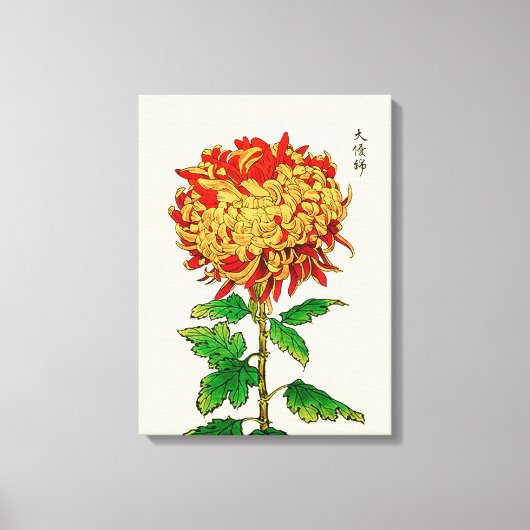 Japans Chrysanthemum. Geel en Oranje Canvas Afdruk (Voorkant)