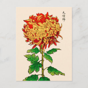Japans Chrysanthemum. Goud en Sinaasappel Briefkaart