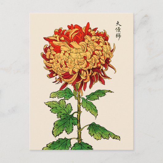 Japans Chrysanthemum. Goud en Sinaasappel Briefkaart (Voorkant)