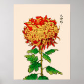  Japans Chrysanthemum. Goud en Sinaasappel Poster (Voorkant)