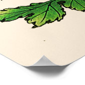 Japans Chrysanthemum. Mustard Yellow Poster (Hoek)