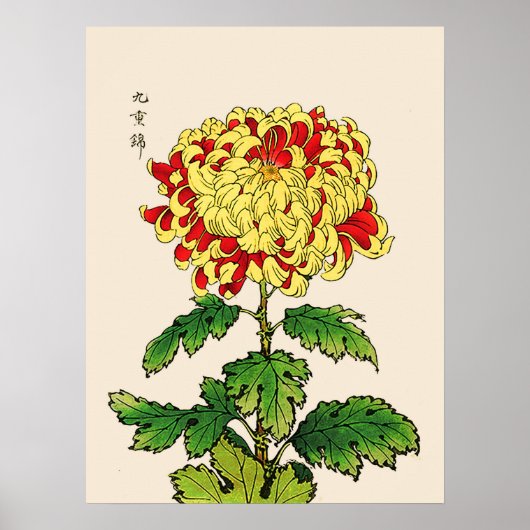Japans Chrysanthemum. Mustard Yellow Poster (Voorkant)