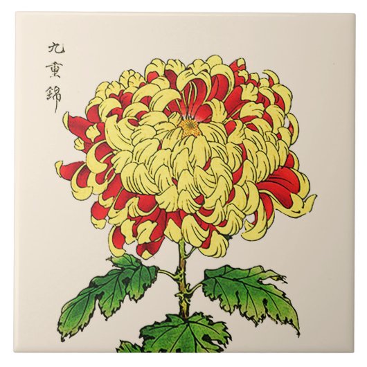 Japans Chrysanthemum. Mustard Yellow Tegeltje (Voorkant)