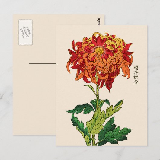 Japans Chrysanthemum. Rust en Sinaasappel Briefkaart (Voorkant / Achterkant)