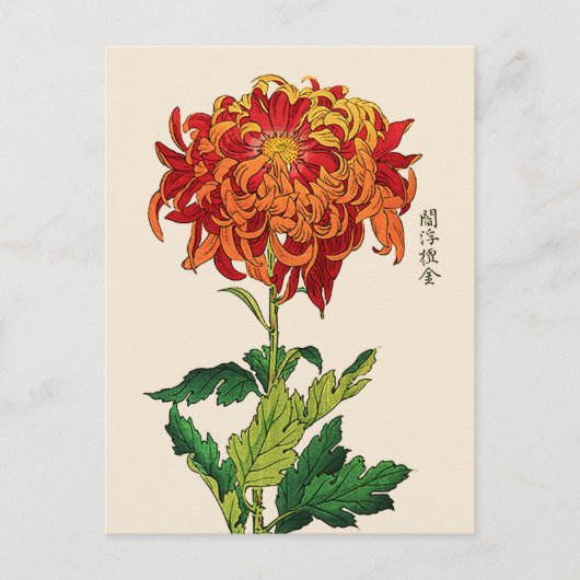 Japans Chrysanthemum. Rust en Sinaasappel Briefkaart (Voorkant)