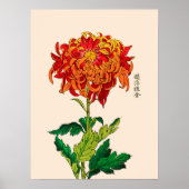 Japans Chrysanthemum. Rust en Sinaasappel Poster (Voorkant)