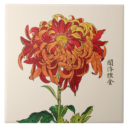 Japans Chrysanthemum. Rust en Sinaasappel Tegeltje (Voorkant)