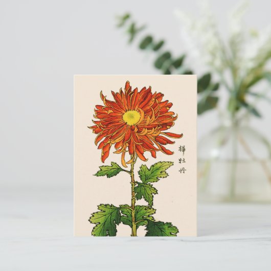  Japans Chrysanthemum. Sinaasappel en goud Briefkaart (Staand voorkant)