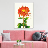  Japans Chrysanthemum. Sinaasappel en goud Canvas Afdruk (Insitu (Woonkamer))