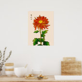  Japans Chrysanthemum. Sinaasappel en goud Poster (Keuken)