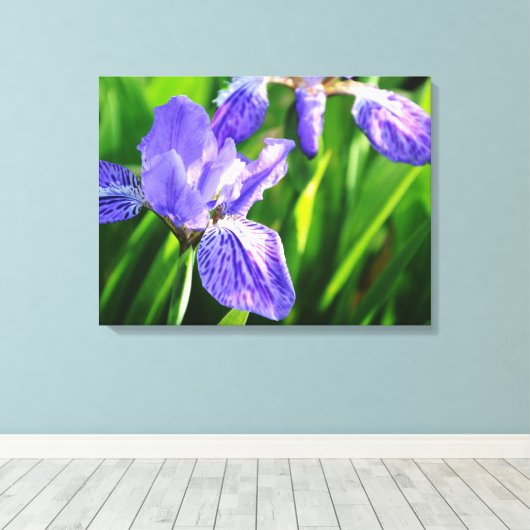 Japans Dak Iris Verpakt Canvas (Insitu (Houten vloer))