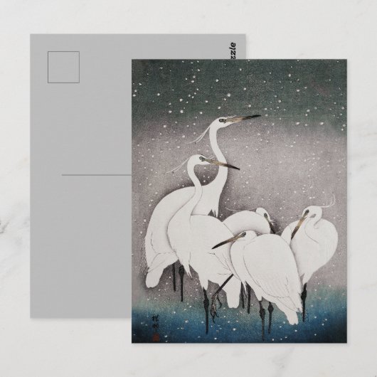 Japans Egrets Koson kranen wintersneeuw Briefkaart (Voorkant / Achterkant)