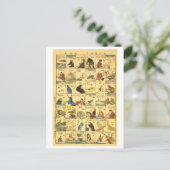 Japans-Engelse vertaaltabel Briefkaart (Staand voorkant)