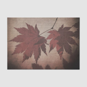 Japans esdoorn bladschrift herfst bruin burgund tissuepapier