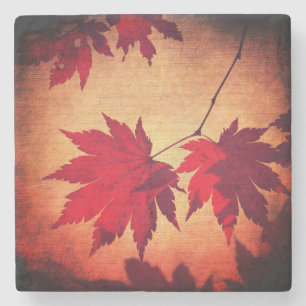 Japans esdoorn bladschrift herfst rood sinaasappel stenen onderzetter