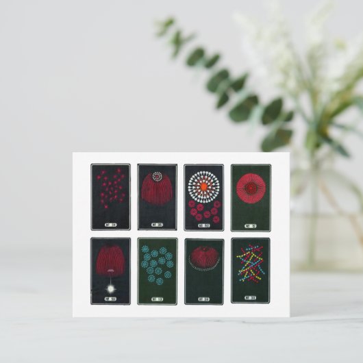 Japans Fireworks-grafisch ontwerp, 19e eeuw Ca Briefkaart (Staand voorkant)