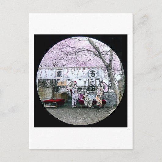  Japans Geisha zit onder Cherry Blossom Briefkaart (Voorkant)