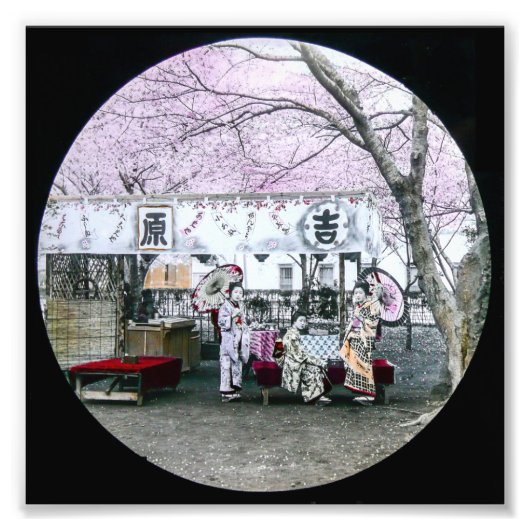  Japans Geisha zit onder Cherry Blossom Foto Afdruk (Voorkant)